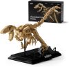 Nifeliz Velociraptor Fossil – Építőkocka Dinoszaurusz-csontváz Modell (NF10357, 498 db)